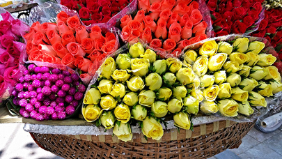roses for sale in Hanoi