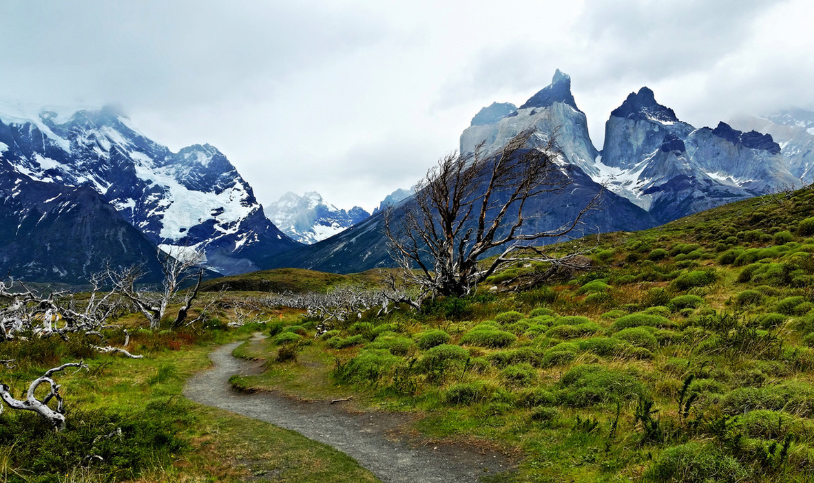 Torres Del Paine: The 1 Day Independent & Sustainable Guide - Cohica Travel